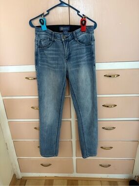 Democracy Medium Wash Skinny Jeans